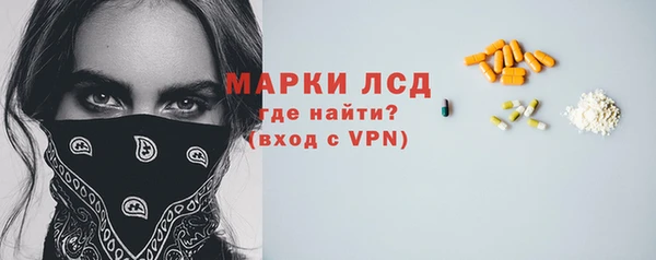 ГАЛЛЮЦИНОГЕННЫЕ ГРИБЫ Аркадак