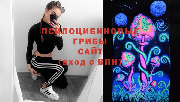 ГАЛЛЮЦИНОГЕННЫЕ ГРИБЫ Аркадак