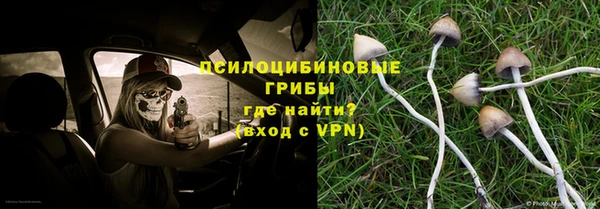 спиды Арсеньев